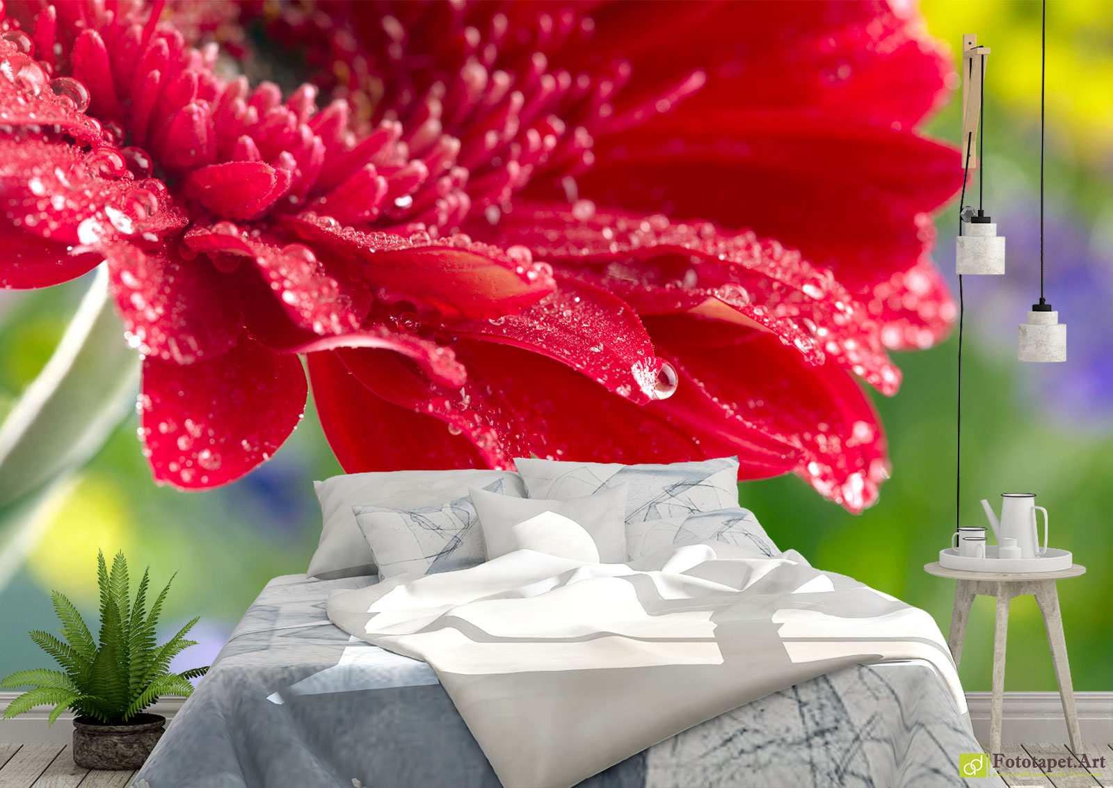 Fototapet Flori - Gerbera_2