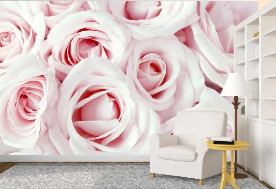 Foto tapet Trandafiri roz deschis