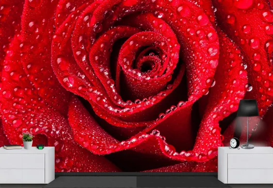 Tapet cu trandafiri rosii