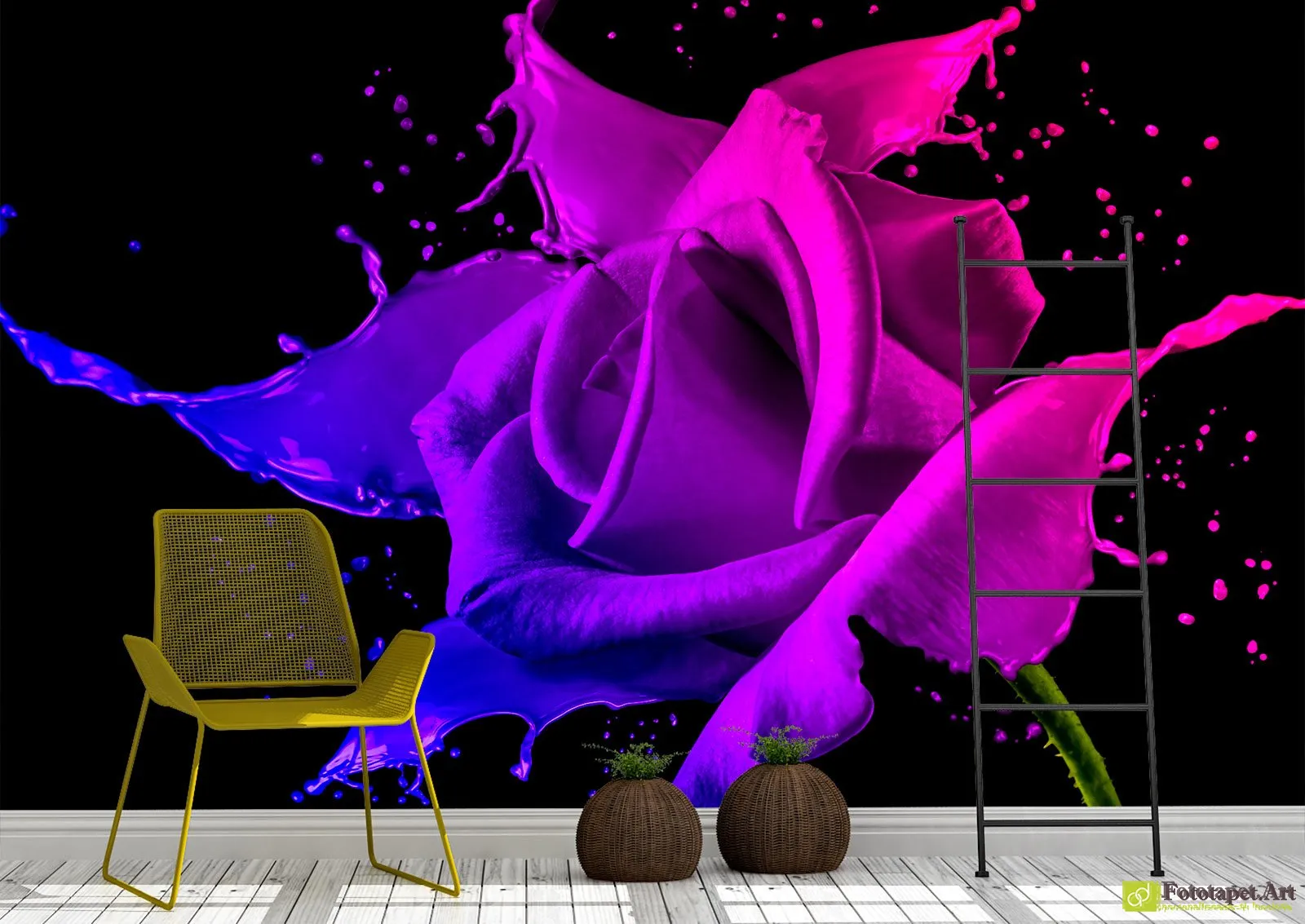 Fototapet Floare de trandafir pe fond negru, Tapet 3d