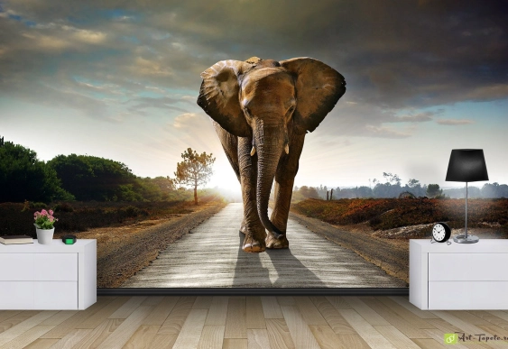 Fototapet cu animale Elefant pe drum, Tapet foto