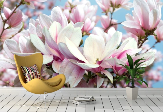 Magnolii roz delicate pe fundal ceresc.